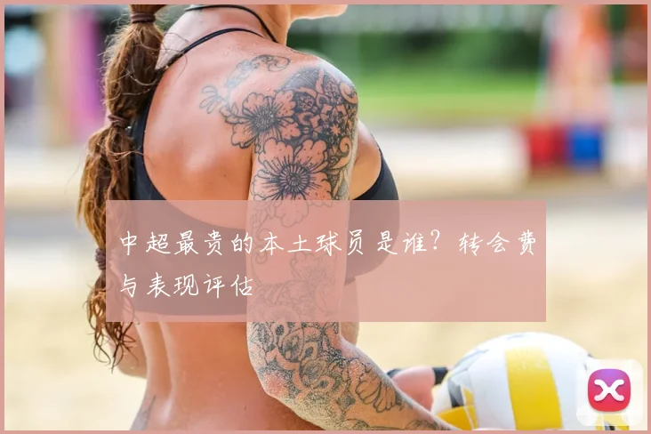 中超最贵的本土球员是谁？转会费与表现评估